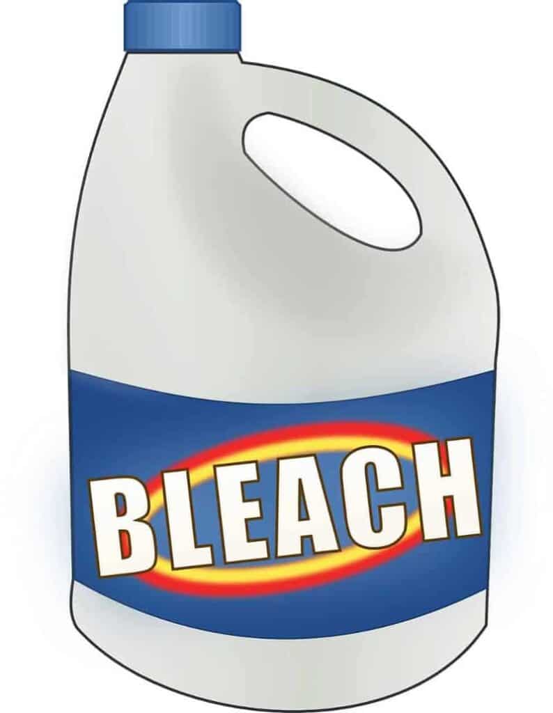 Using Bleach to Purify Water